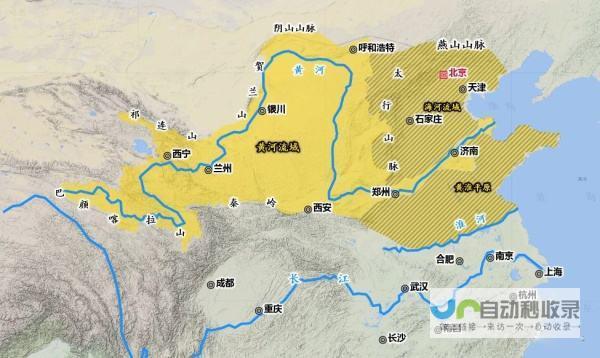 河东地区专业网站建设，助力企业提升品牌形象和线上销售
